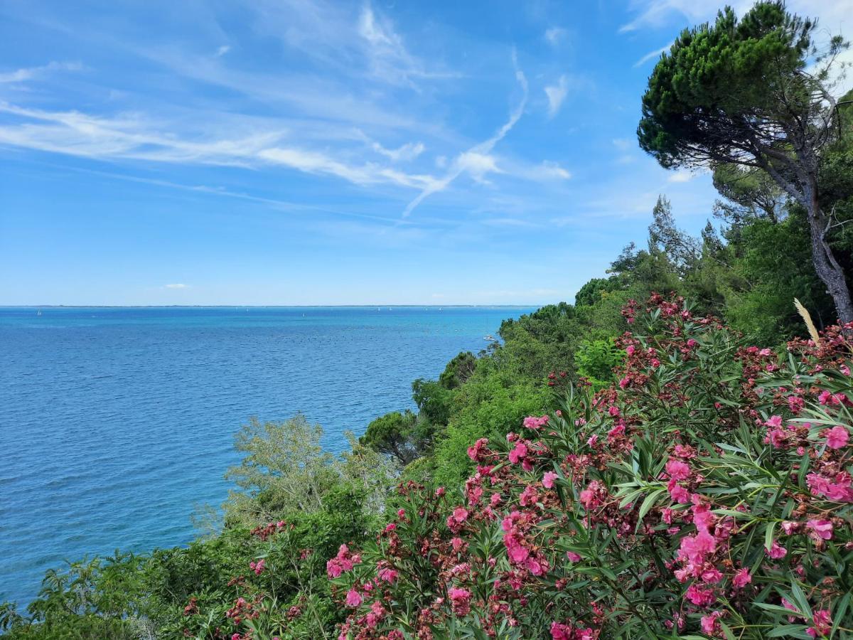 Agriturismo Ai Tre Sentieri Διαμέρισμα Aurisina Εξωτερικό φωτογραφία