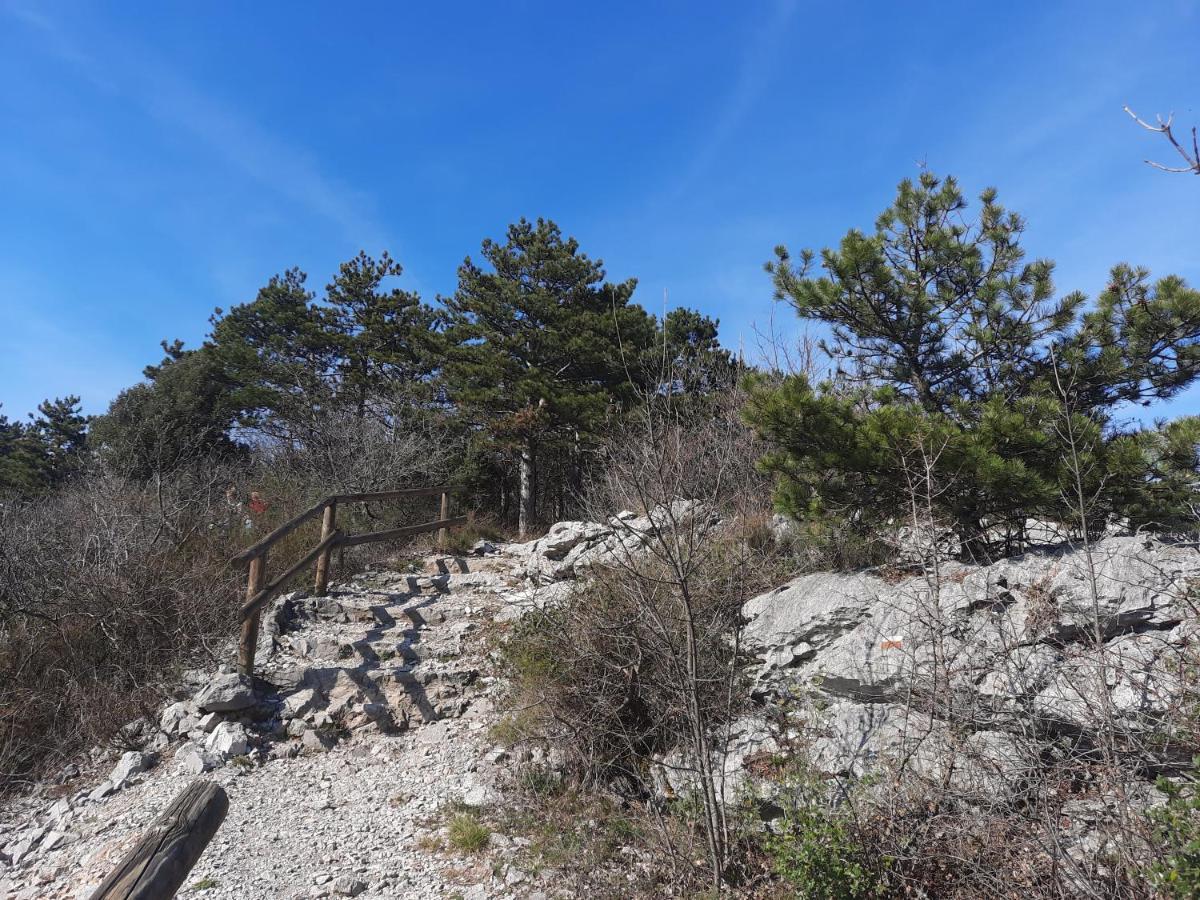 Agriturismo Ai Tre Sentieri Διαμέρισμα Aurisina Εξωτερικό φωτογραφία