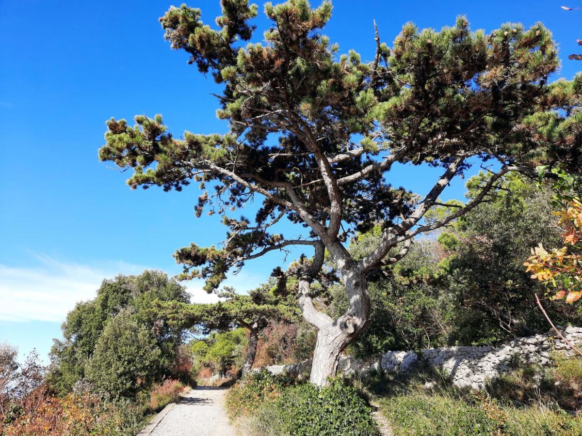 Agriturismo Ai Tre Sentieri Διαμέρισμα Aurisina Εξωτερικό φωτογραφία