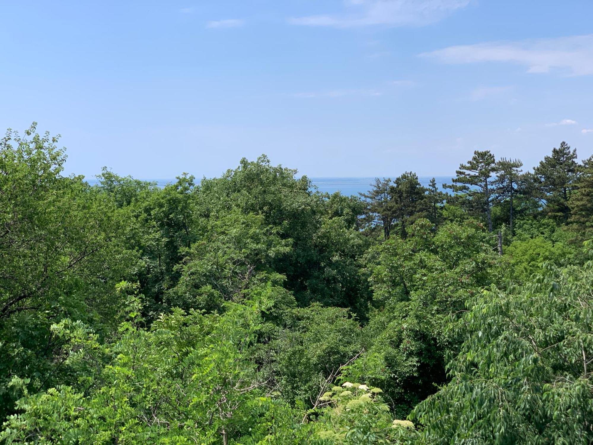 Agriturismo Ai Tre Sentieri Διαμέρισμα Aurisina Δωμάτιο φωτογραφία